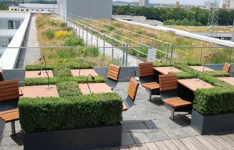 Specialists planning a modular living wall system for an office