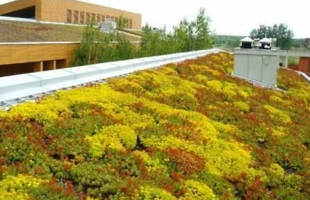 Technician maintaining an office living wall irrigation system